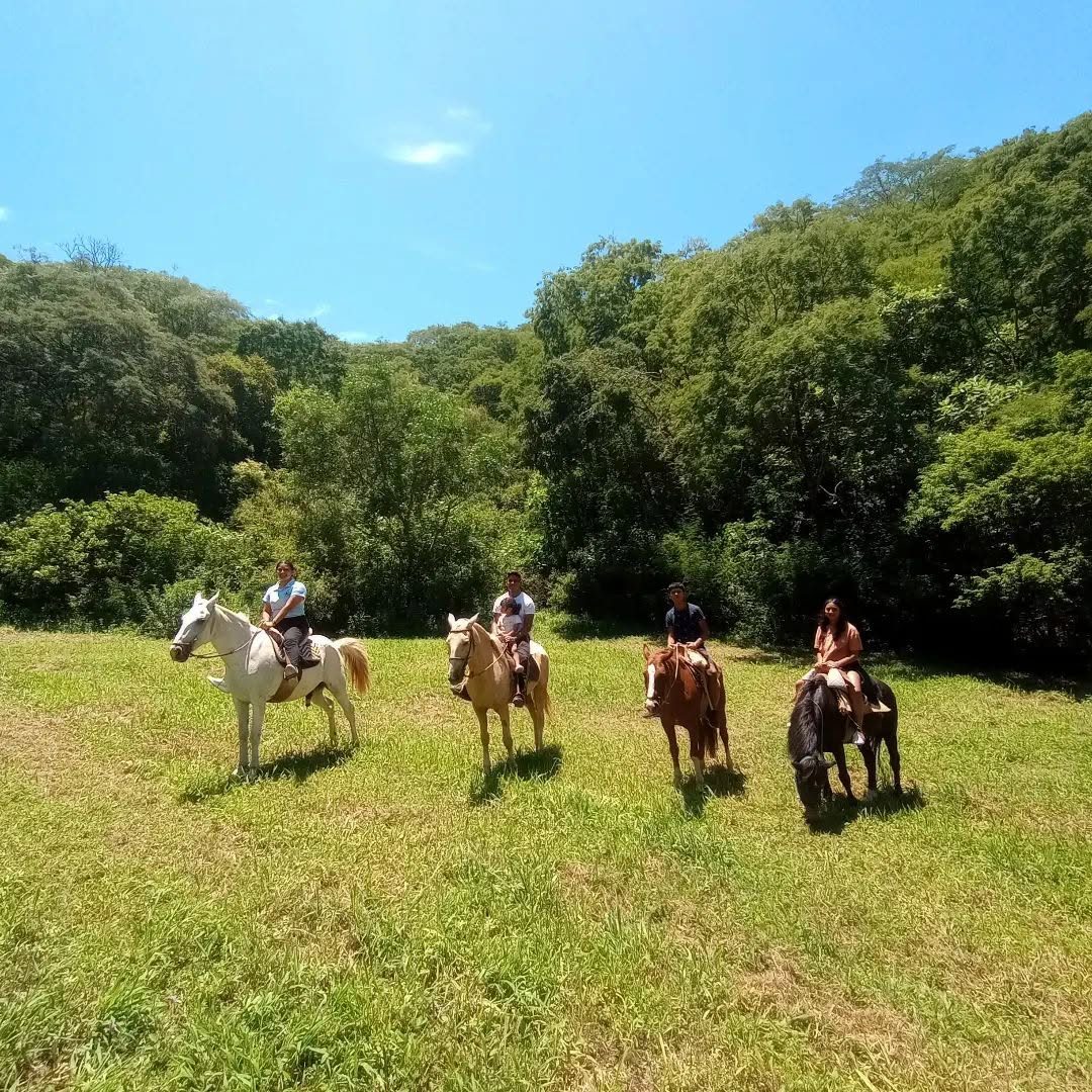Convivencias Creativas con el caballo y la naturaleza