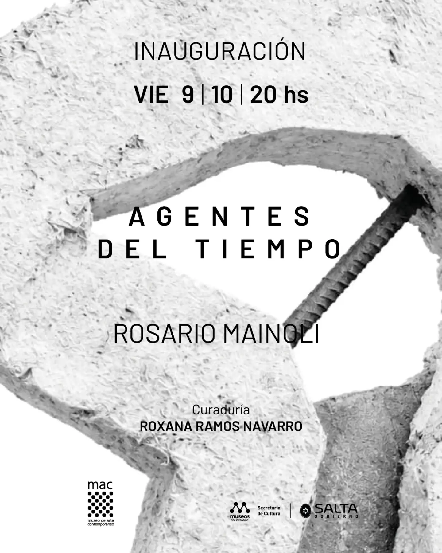 Inauguración – Nueva muestra "Agentes del Tiempo" - Rosario Mainoli.